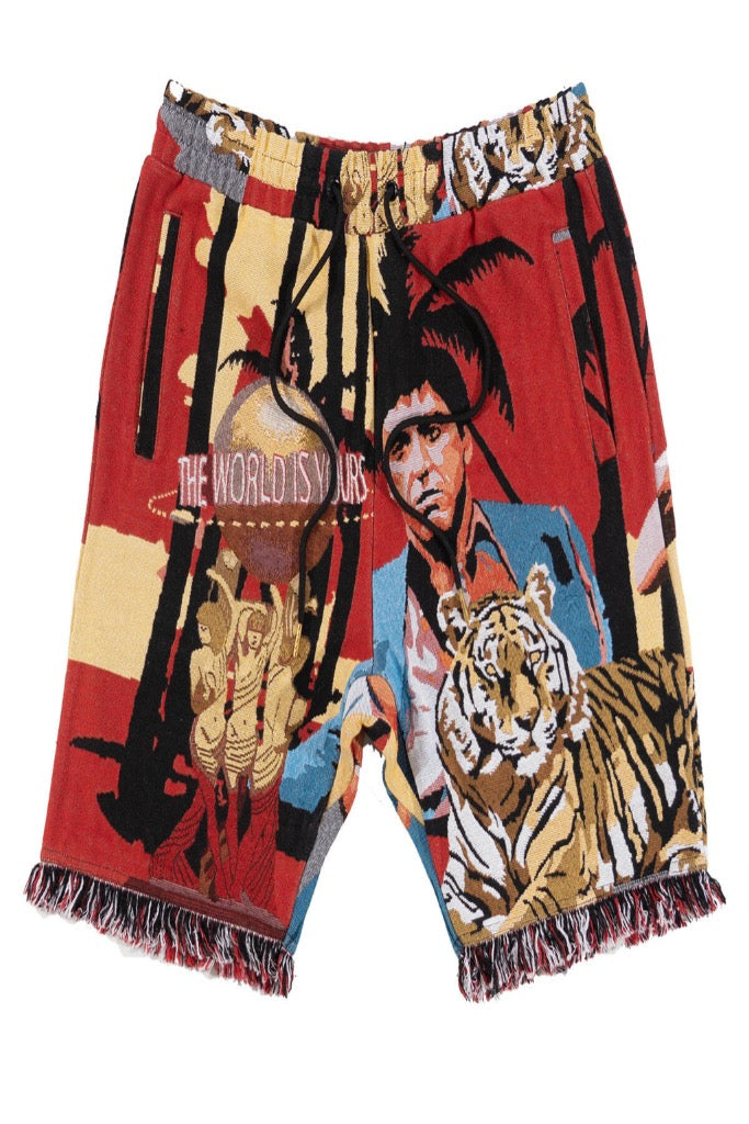 FROST WORLD IS YOURS TAPESTRY SHORTS